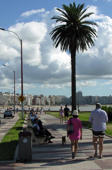 Veraniega ciudad - Montevideo